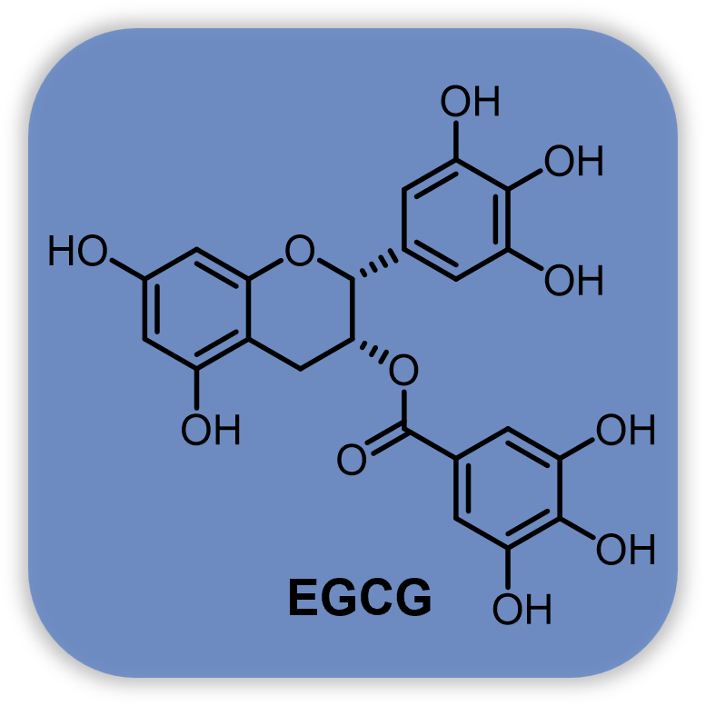 FITC标记表没食子儿茶素没食子酸酯
