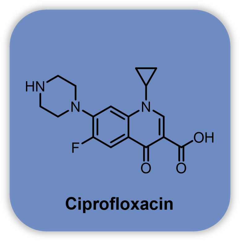 FITC标记环丙沙星